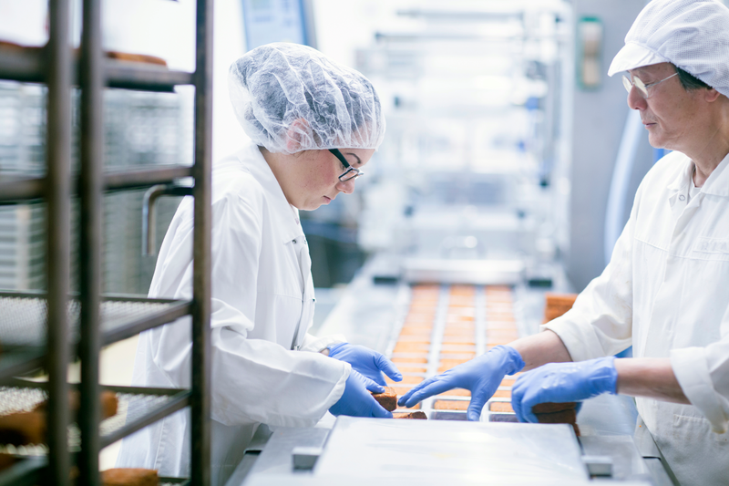Food factory workers