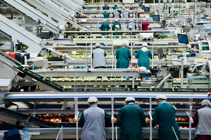 factory workers