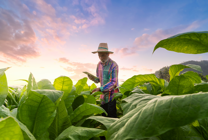 farmer agriculture