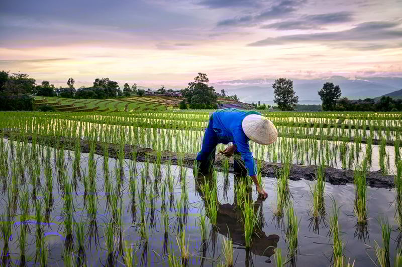 man in field