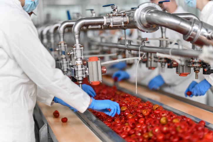 Harvesting and processing tomatoes